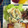 kinmaru's cooksnap of when they made ★ちくわときゅうりのマヨ和え★.
