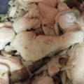ミッキートム's cooksnap of when they made アスパラと鶏むねの中華炒め.