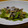 もちおう's cooksnap of when they made あさりとキャベツのあっさり蒸し.