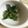 みみたすん's cooksnap of when they made ほうれん草のごま和え◎.