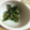 みみたすん's cooksnap of when they made ほうれん草のごま和え◎.