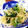 だんだん's cooksnap of when they made もやしと菜の花のさっぱり和え❁.