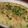 mi◎kitchen's cooksnap of when they made 長芋の和風グラタン.