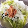 ぽる＊'s cooksnap of when they made たくさん食べれる大根サラダ♬.