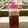 クックT0VM84☆'s cooksnap of when they made フルーツ酵素液.