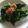 ｋｕｍｉｔｙ's cooksnap of when they made 菜の花のおひたし☆梅肉和え.