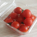アクセル☆'s cooksnap of when they made 【簡単】ミニトマトの保存方法.