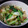 たーにゃん。's cooksnap of when they made 青梗菜とちくわの梅醤油和え.