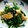 とりてんちゃん's cooksnap of when they made 【菜の花】ふわっと卵と菜の花の簡単炒め.