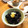うーちゃん☆'s cooksnap of when they made 黒豆ちょいシワ煮.