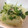 ちー姫子's cooksnap of when they made 丸ごと新玉ねぎ☆とろみスープがけ.