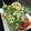 Cocobos's cooksnap of when they made ＊海老とアボカドのヘルシー野菜生春巻き＊.