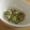 クッコロ's cooksnap of when they made 簡単格安☆きゅうりとツナのサラダ.