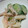 れいぴかけ's cooksnap of when they made 新じゃがとしめじのたらこマヨサラダ.