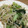 ゆずんず's cooksnap of when they made ◆簡単ヘルシーもやしと小松菜の豆板醤炒め.