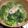 やっちゃんかぁさん's cooksnap of when they made シンプルに行こう！豚とほうれん草の常夜鍋.
