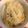 みしんかたかた。's cooksnap of when they made しらすと塩昆布の炊き込みご飯.