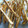 kyuu818's cooksnap of when they made 簡単！揚げないかりんとう、いかが？.