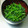 さとみに's cooksnap of when they made 菜の花の粒マスタードマリネ.