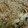 イーリヤ's cooksnap of when they made レンジで簡単！焼きうどん♡ソース編.