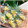 ニコニコまっきー's cooksnap of when they made 安全！簡単！早〜い！！生姜の皮の剥き方.