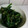 朝食当番's cooksnap of when they made 超簡単！ほうれん草の胡麻和え もう一品に.