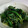 朝食当番's cooksnap of when they made ほうれん草の胡麻和え.