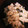 RYK1205's cooksnap of when they made ふえるわかめ★で簡単わかめご飯のもと.