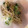 今日もニコッ☆'s cooksnap of when they made 節約♡もやしとカイワレ大根のサラダ.