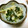 快くん's cooksnap of when they made 春の副産物❀筍姫皮の梅和え.