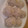 ☆ひこっと☆'s cooksnap of when they made ずぼら☆シュウマイ.