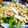 B子chan's cooksnap of when they made 炒めキノコとほうれん草のサラダ.