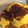 お天気母さん321's cooksnap of when they made 卵とろ〜り！ごちそうさん洋食屋オムライス.