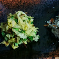 ちきakki's cooksnap of when they made 春キャベツといかなごの釘煮のマヨ和え.