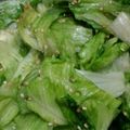 あっちゃむ。's cooksnap of when they made レタス消費！やみつき！ごまレタス.