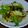 beko★'s cooksnap of when they made たっぷりレタスのもみもみサラダ.