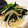 ひ ろ's cooksnap of when they made しけた味海苔救済★ほうれん草の海苔和え.
