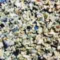 みやのりょうり's cooksnap of when they made 茄子とエリンギの卵とじ.