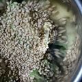 ちゅちゅちゃみ's cooksnap of when they made 簡単☆胡麻アボカド.