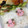 たにたーに's cooksnap of when they made 幼稚園 キャラ弁♡ぱんだ 簡単.