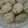 toramaru39's cooksnap of when they made 鍋やおでんにどうぞ!サバのつみれの作り方.