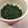 いかちゃんこ's cooksnap of when they made 保存食「パラパラ乾燥パセリ」.
