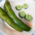 のらこ☆'s cooksnap of when they made 5分でできる！簡単トースターde焼そら豆.