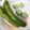 のらこ☆'s cooksnap of when they made 5分でできる！簡単トースターde焼そら豆.
