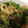 さおりさおりママ's cooksnap of when they made ちくわとほうれん草の胡麻和え.