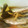 りんご華☆1219's cooksnap of when they made 茄子とイワシの煮物.