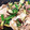 きたみーちゃん's cooksnap of when they made ご飯がススム豚コマのゴマみそ炒め.