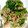 きっちmam＆tea's cooksnap of when they made すし酢で簡単！ ほうれん草とツナの和え物.