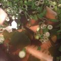 りゅう＆ゆう＆りょう's cooksnap of when they made 【汁の具シリーズ】わかめとたけのこ.