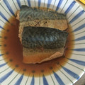 hmcz's cooksnap of when they made めんつゆで簡単美味しいサバの煮つけ.